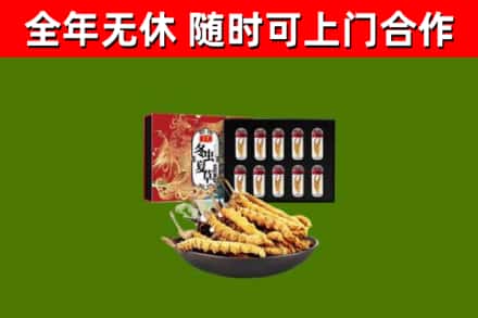 宿州烟酒回收冬虫夏草礼盒.jpg